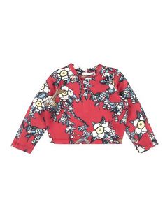 Толстовка Dsquared2