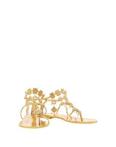 Вьетнамки Giuseppe Zanotti