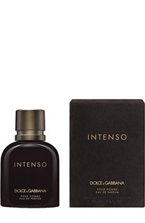 Парфюмерная вода Intenso Pour Homme Dolce & Gabbana