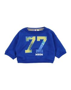 Толстовка Msgm
