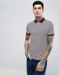 Бордовое узкое поло в полоску Pretty Green - Красный