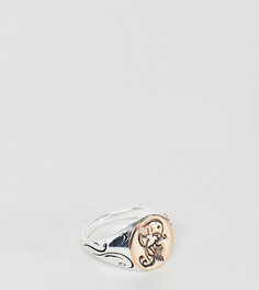 Серебряное кольцо-печатка с тиснением птицы Reclaimed Vintage эксклюзивно на ASOS - Серебряный