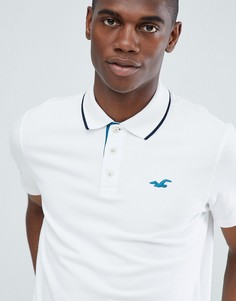 Белая облегающая футболка-поло с окантовкой и логотипом Hollister - Белый