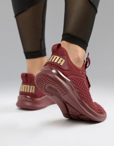 Бордовые кроссовки Puma Running Ignite Flash - Красный