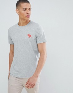 Серая футболка Abercrombie & Fitch Pop Icon - Серый