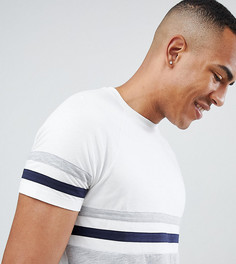 Футболка колор блок с рукавами реглан ASOS DESIGN Tall - Белый