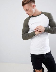 Облегающий лонгслив с контрастными рукавами реглан ASOS DESIGN - Мульти