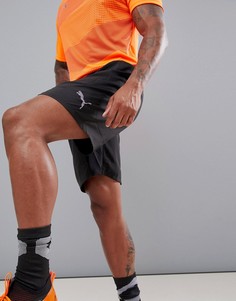 Черные шорты Puma Football 655789-01 - Черный