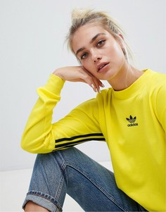 Желтый свитшот с высоким воротом и тремя полосами adidas Originals Authentic - Мульти