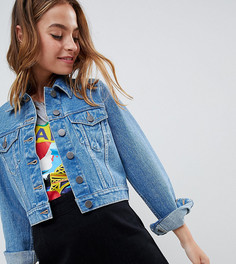 Выбеленная синяя джинсовая куртка ASOS DESIGN Petite - Синий
