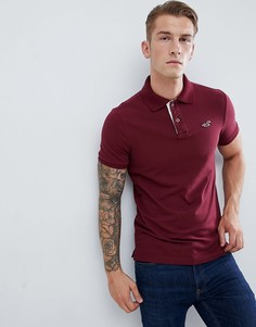 Бордовое поло с логотипом Hollister solid core - Красный