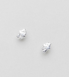 Серебряные серьги-гвоздики в форме ракушек ASOS DESIGN - Серебряный