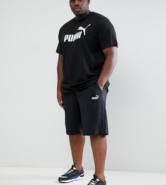 Черные шорты Puma PLUS 85199401 - Черный