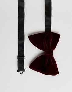 Большой бархатный галстук-бабочка ASOS DESIGN - Красный