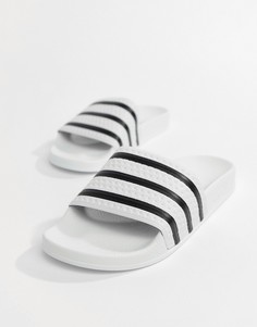 Белые шлепанцы adidas Originals Adilette 280648 - Белый