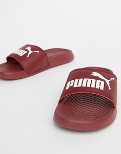 Бордовые шлепанцы Puma Popcat - Красный