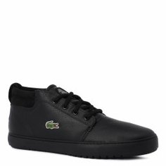 Кеды LACOSTE SPM0002 AMPTHILL TERRA PUT черный