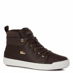 Кеды LACOSTE CAW0005 EXPLORATEUR CLASSIC темно-коричневый