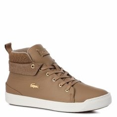 Кеды LACOSTE CAW0005 EXPLORATEUR CLASSIC темно-бежевый