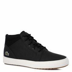 Кеды LACOSTE CAW0003 AMPTHILL черный