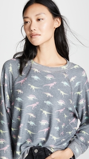 Wildfox Retro Dino Sweatshirt