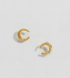 Серьги-гвоздики из позолоченного серебра ASOS DESIGN - Золотой