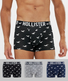 Набор из 3 боксеров-брифов с логотипом на поясе (темно-синие/ черные/ серые) Hollister - Мульти