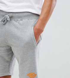 Серые беговые шорты Dickies - Серый