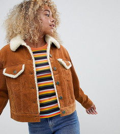 Рыжевато-коричневая вельветовая куртка с воротником борг ASOS DESIGN Petite - Светло-бежевый