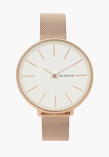 Часы Skagen