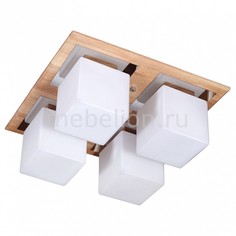 Накладной светильник Natura 084.4 Lucia Tucci