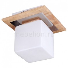 Накладной светильник Natura 084.1 Lucia Tucci