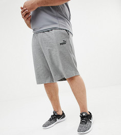 Серые шорты Puma PLUS Essentials 85199403 - Серый