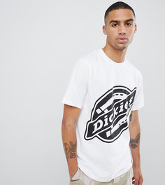 Белая футболка Dickies Johnson City - Белый