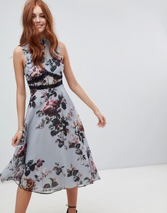Платье миди с цветочным принтом Hope & Ivy - Мульти