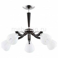Потолочная люстра Areta 20785 Alfa