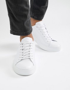 Белые кожаные кроссовки Toms Lenox - Белый