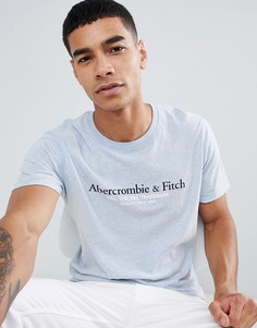 Голубая футболка с принтом логотипа Abercrombie & Fitch - Синий