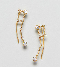 Серьги из позолоченного серебра ASOS DESIGN - Золотой