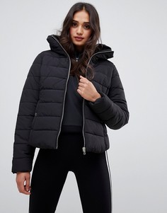 Черная дутая куртка Miss Selfridge - Черный