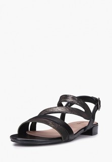 Сандалии T.Taccardi