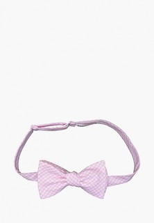 Бабочка Rainbowtie