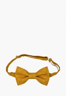 Бабочка Rainbowtie