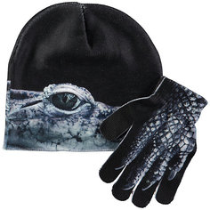 Комплект: шапка и перчатки Molo для мальчика