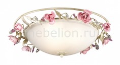 Накладной светильник Oxonia 2585/3 Odeon Light