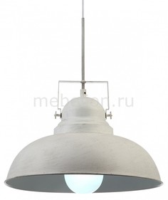 Подвесной светильник Martin A5213SP-1WG Arte Lamp