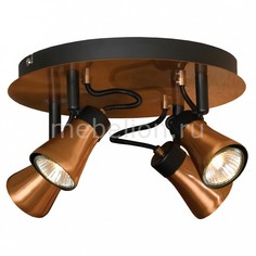 Спот Loft LSL-6801-04 Lussole