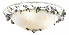 Накладной светильник Tender 2796/3C Odeon Light