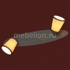 Спот Fossombrone LSL-2301-02 Lussole