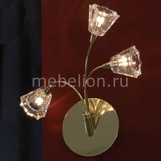 Бра Caserta LSC-3011-03 Lussole